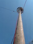 Maibaum