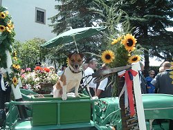 Wiesenfest 2006