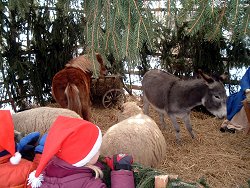 Weihnachtsmarkt 2005